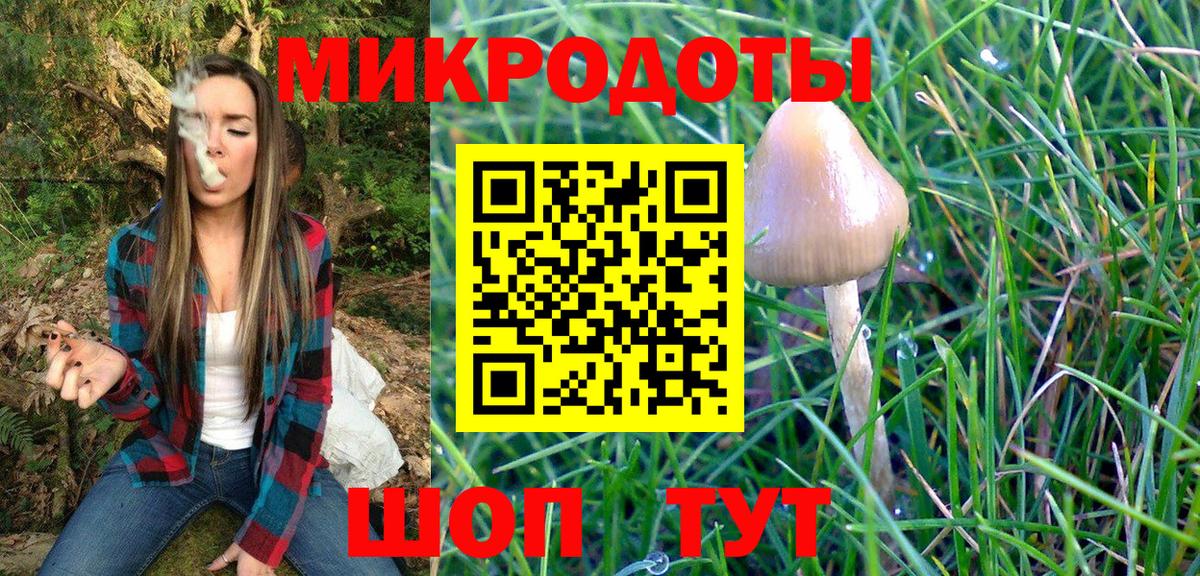 Галлюциногенные грибы MAGIC MUSHROOMS Малгобек