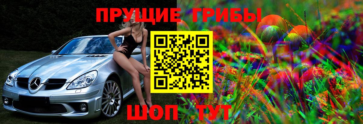 Псилоцибиновые грибы Psilocybine cubensis  Галлюциногенные грибы прущие грибы  Малгобек  Вход с VPN 